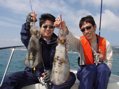 海風ボートエギング釣果情報