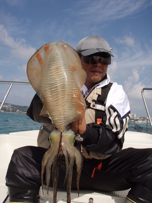 海風ボートエギング釣果情報