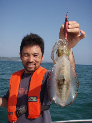 海風ボートエギング釣果情報