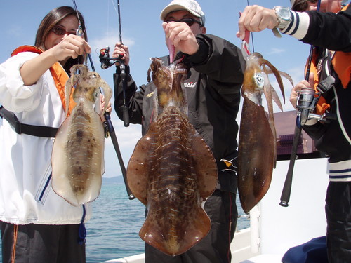 ３月２６日の釣果です