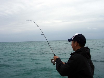 4月７日の釣果です。