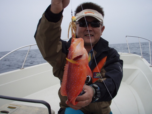 最近の釣果です