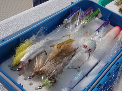 最近の釣果Ｐａｒｔ　２
