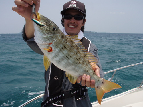 最近の釣果です
