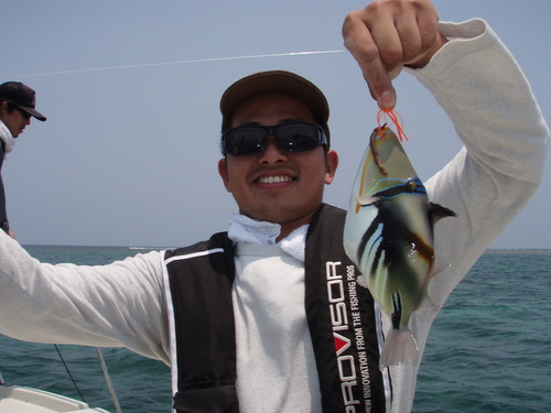 最近の釣果です