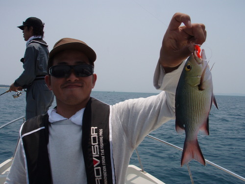 最近の釣果です