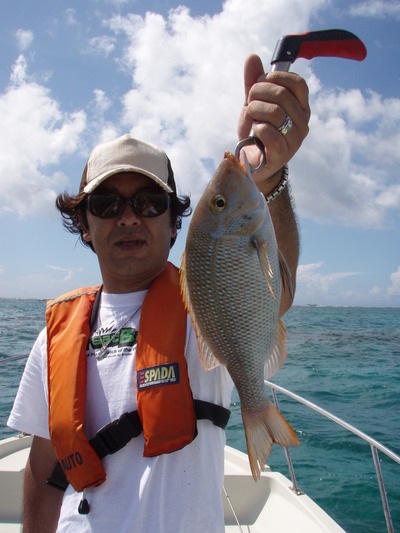 久々の最近の釣果です