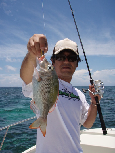 久々の最近の釣果です