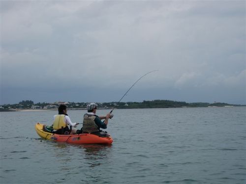 久々の最近の釣果です