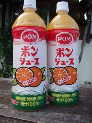 今日は渋っ・・・