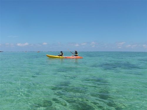 最近の海風 Ｐａｒｔ ２ です