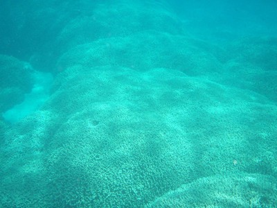 最近の釣果