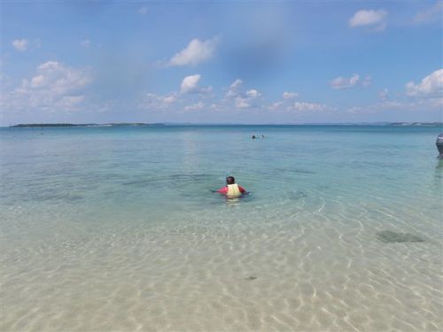 最近の釣果です。