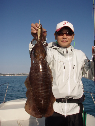 最近の釣果です