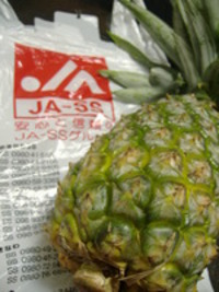 給油でパイン 2005/09/05 23:59:00