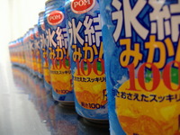 愛媛自慢の