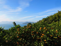 周防大島１泊２日の旅 2016/12/10 17:51:35