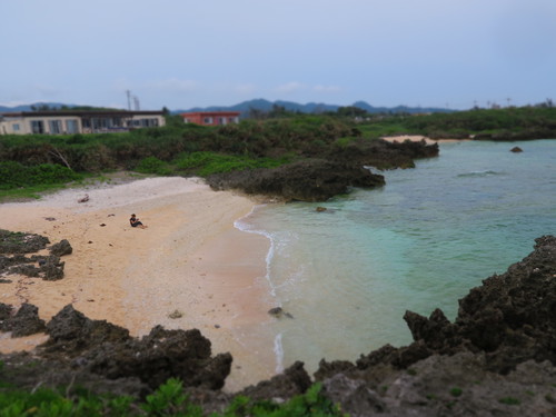 ３きょうだいで行く初沖縄旅