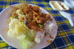 フィリピンの旅③アイランドホッピング
