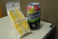 フィリピンの旅⑥マニラ→福岡→岩国