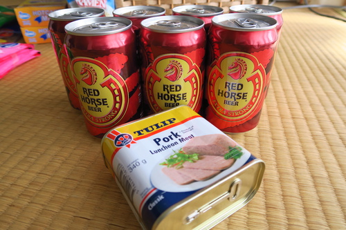 フィリピンの旅⑥マニラ→福岡→岩国