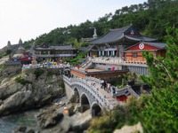 釜山最終日は海のお寺へ