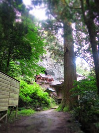 隠岐でマラソンしてきました④