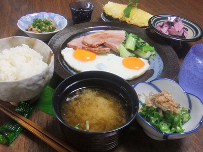 腸美人 の味方 栄養たっぷり 酒粕 朝ごはん活用レシピ 朝時間 Jp