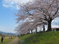京都お花見旅行記・・・のはずが３ 2011/04/14 12:00:00