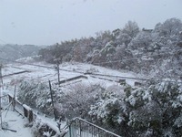 日本で社会復帰活動中 2011/02/19 12:00:00