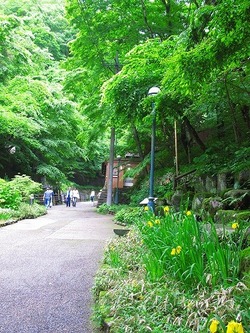 はじめての群馬