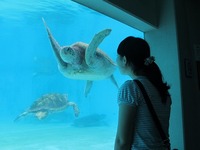 沖縄＠台風だぜぃ～２ 2012/10/31 22:03:58