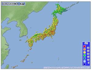 ドラゴンフルーツで夏バテを予防しよう！