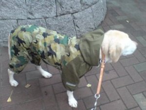 コスプレ女王？