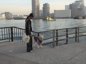 夏帆ちゃんと