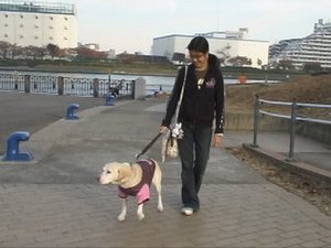 夏帆ちゃんと