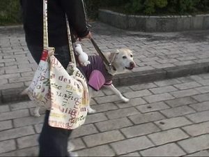 夏帆ちゃんと