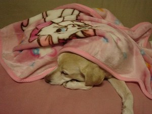 おひさま力♪