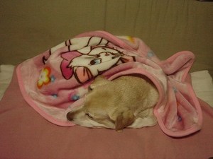 おひさま力♪