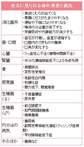 かわいいわんこといつまでも