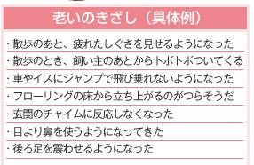 かわいいわんこといつまでも