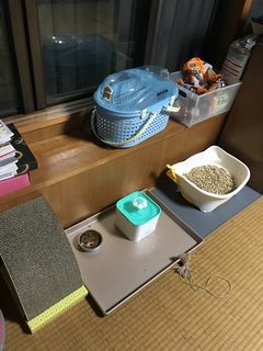 猫へ投資してる俺！