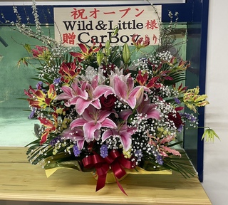 明日も開催です！！金魚すくい、SALE