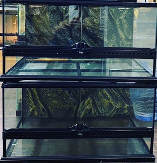 中古水槽・各種餌