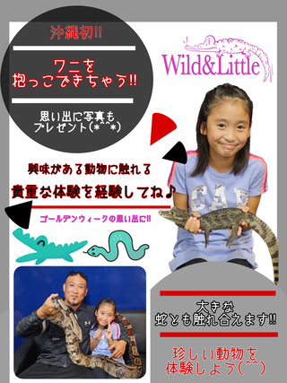 ワニ、大蛇の抱っこ
