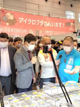 爬虫類イベント