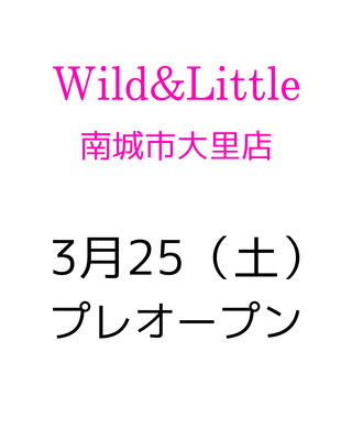 大里店のご報告