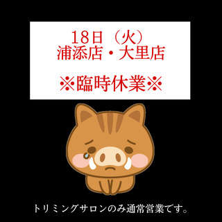 本日片付けの為臨時休業です。