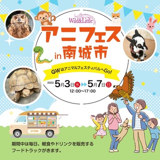 大里店、生体一部SALE！ニシアフ、ボールパイソン