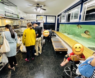 明日も開催です！！金魚すくい、SALE